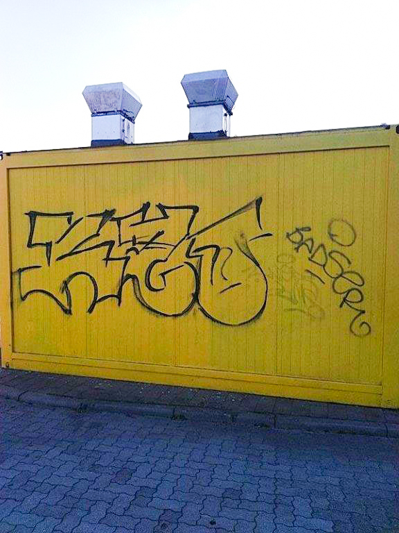 Das Foto zeigt die mit Graffitis und Tags beschmierte Container-Fassade am toom Baumarkt in Neubrandenburg